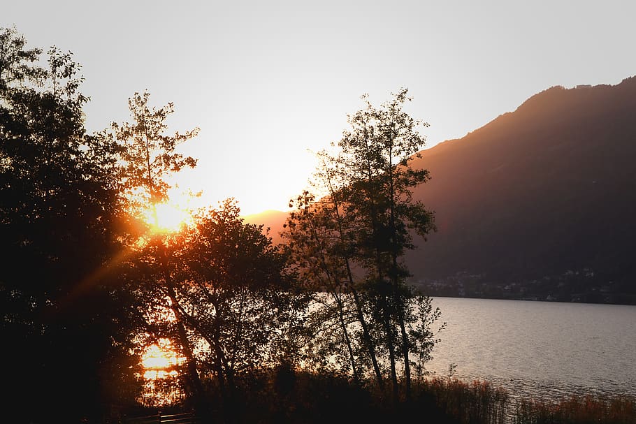 austria, lake ossiach, tree, plant, sunset, beauty in nature HD wallpaper