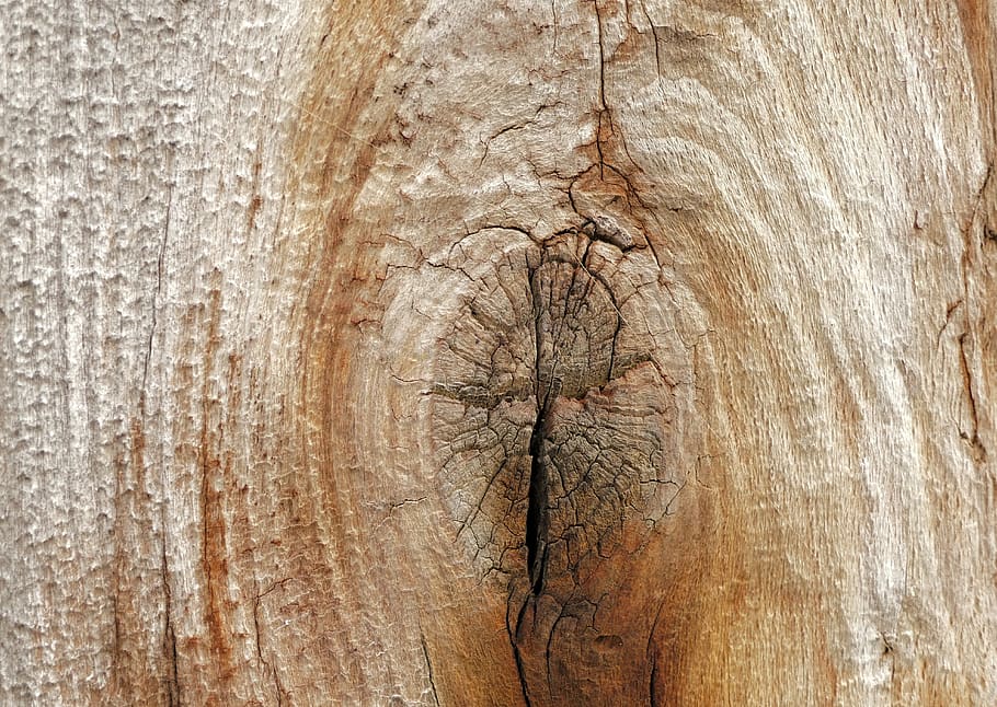 wood, structure, textures, background, pattern, old, tree, nature HD wallpaper