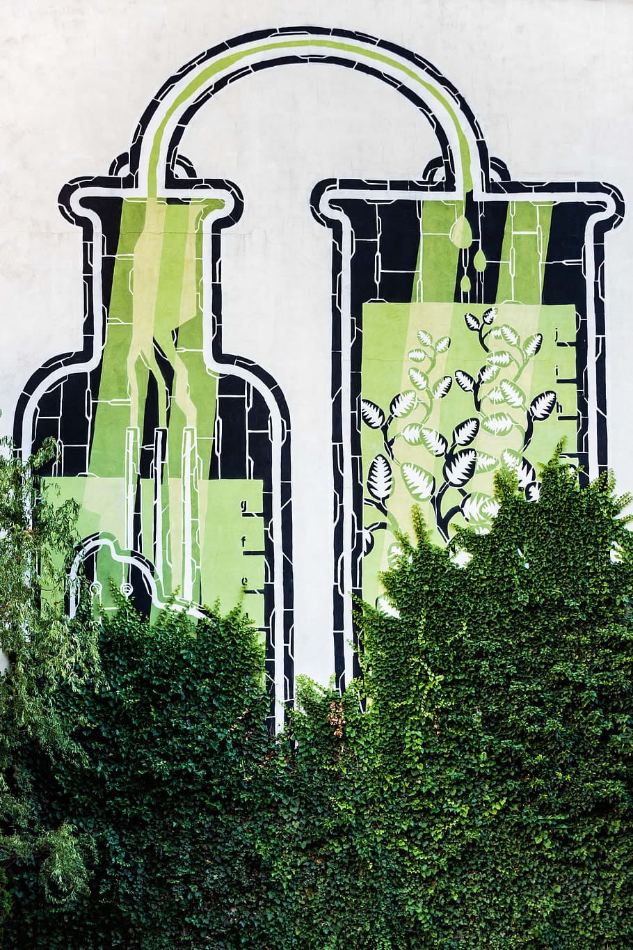 street art and green leafed plant, test-tube, building, streetart, HD wallpaper