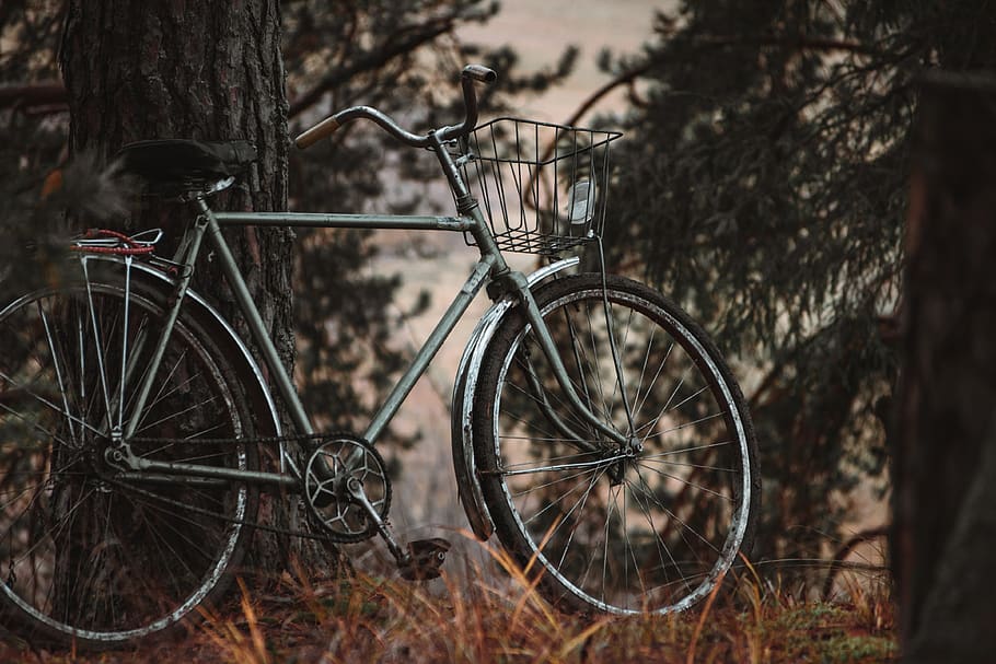 gray bicycle, land vehicle, stationary, mode of transportation HD wallpaper