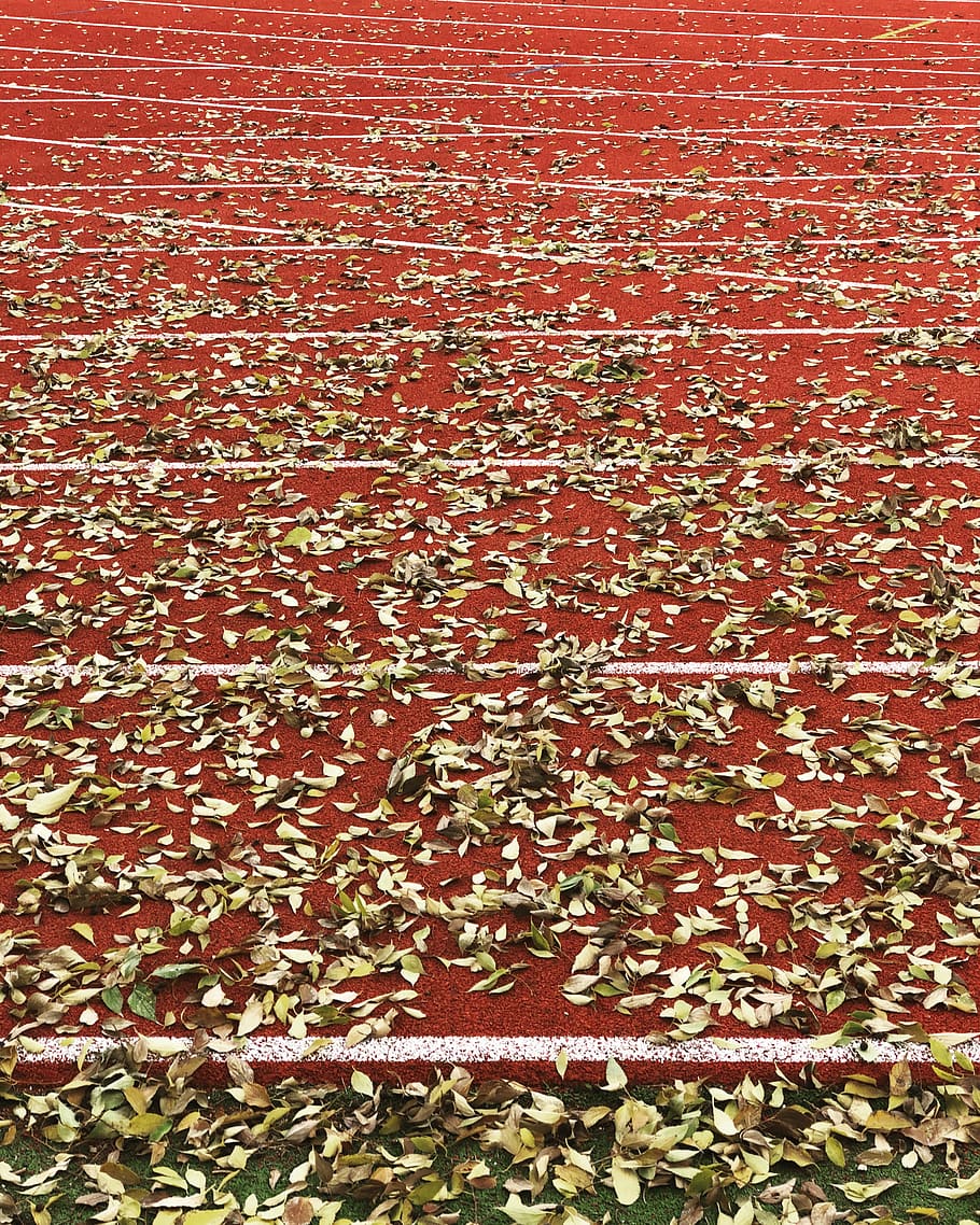 leaves, red, autumn, trackandfield, athletics, sport, run, line, HD wallpaper