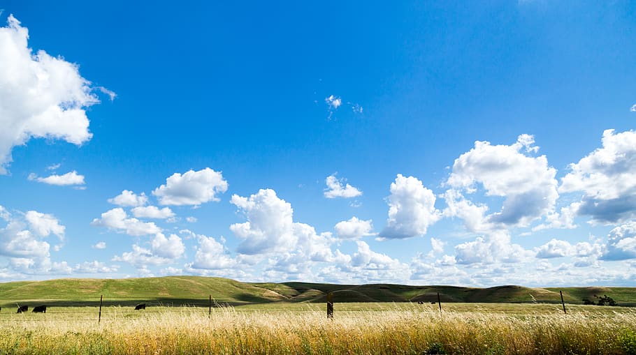 countryside, grass, sky, sun, environment, cloud - sky, landscape HD wallpaper