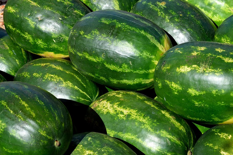 watermelon, fruit, food, healthy, red, green, fresh, summer HD wallpaper