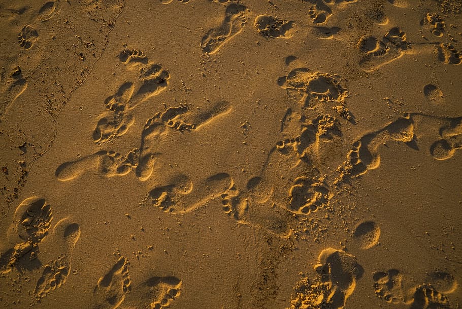 Photo of Footprints on Sand, beach, footsteps, mark, shore, land HD wallpaper