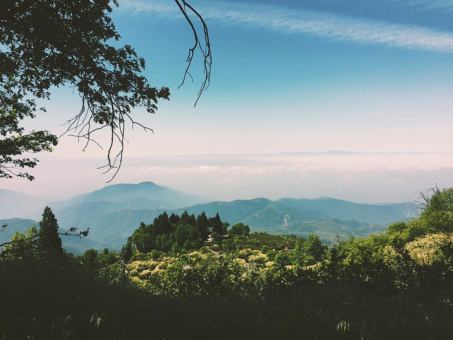 trees, green, blue, sky, mountains, bushes, skyline, hike, leaves HD wallpaper