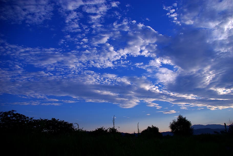 sky, cloud, white clouds, blue sky, cloud - sky, tree, beauty in nature HD wallpaper