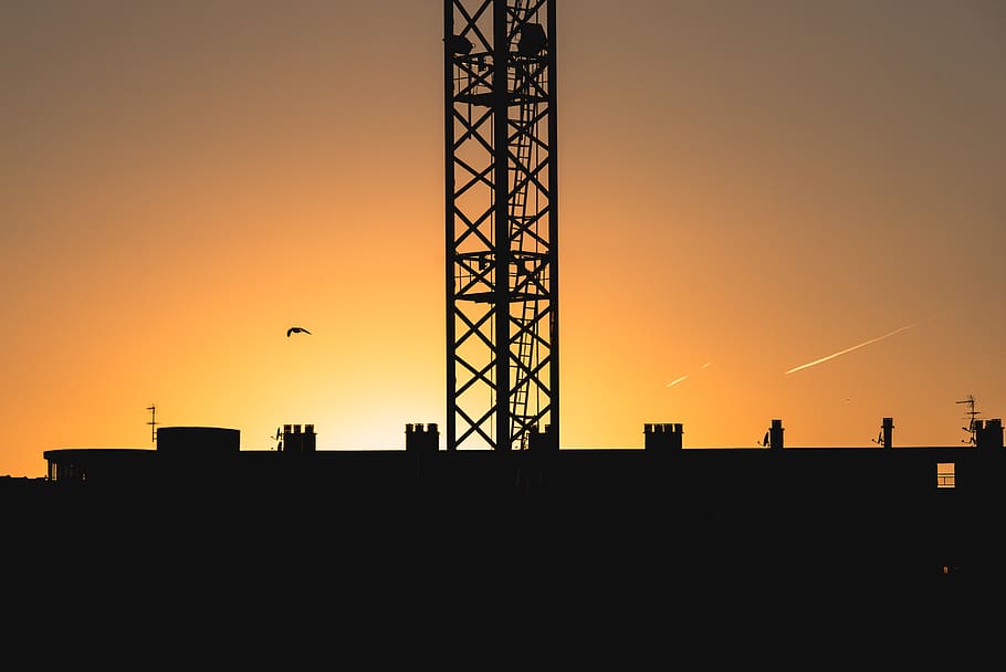 sunset, bird, architecture, building, crane, construction, sky HD wallpaper