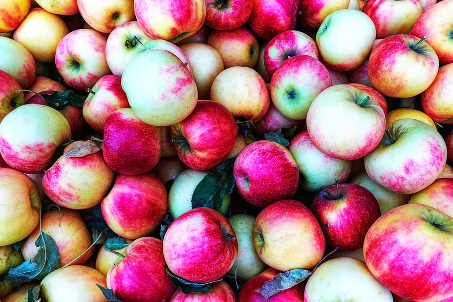 red apple fruits, healthy eating, food and drink, full frame HD wallpaper