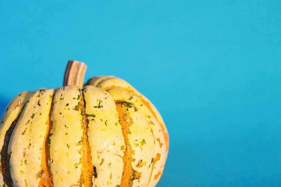 dumpling, squash, gourd, food, food and drink, healthy eating HD wallpaper
