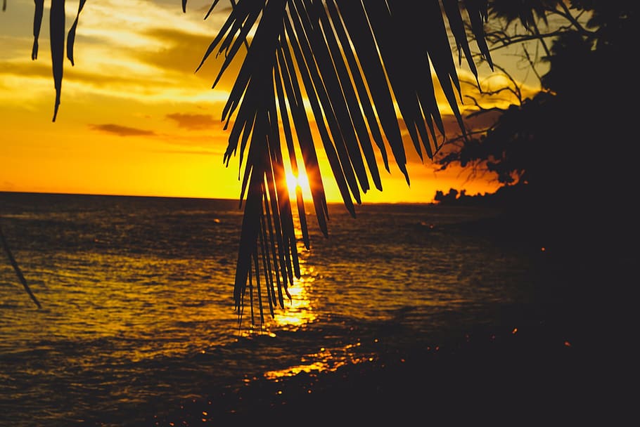 sunset, beach, patillas, puerto rico, water, beauty in nature, HD wallpaper