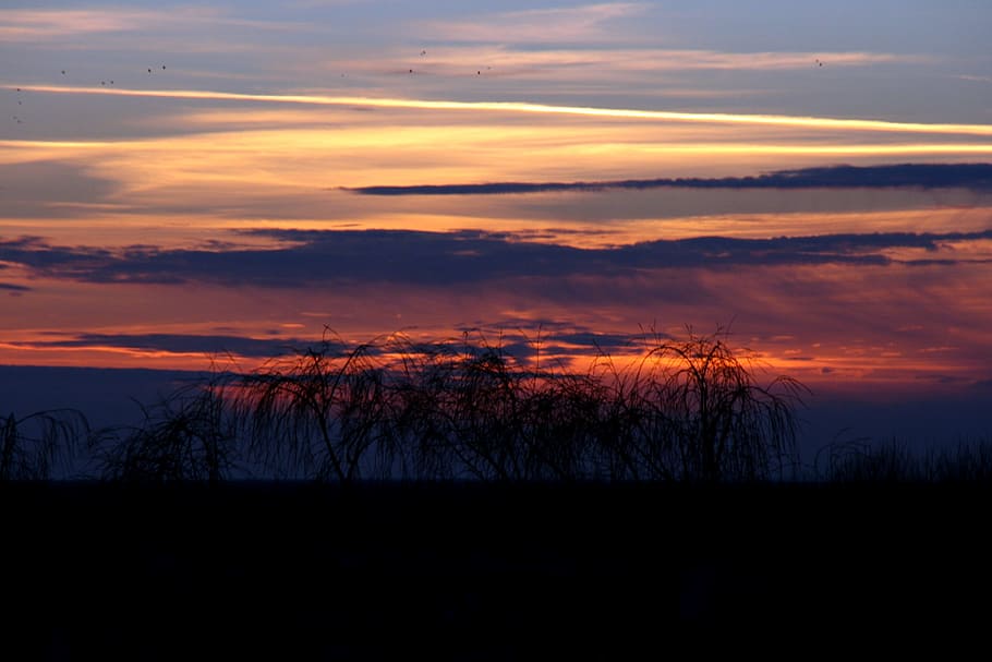 sun, sunset, nature, sky, orange, cloud - sky, beauty in nature HD wallpaper