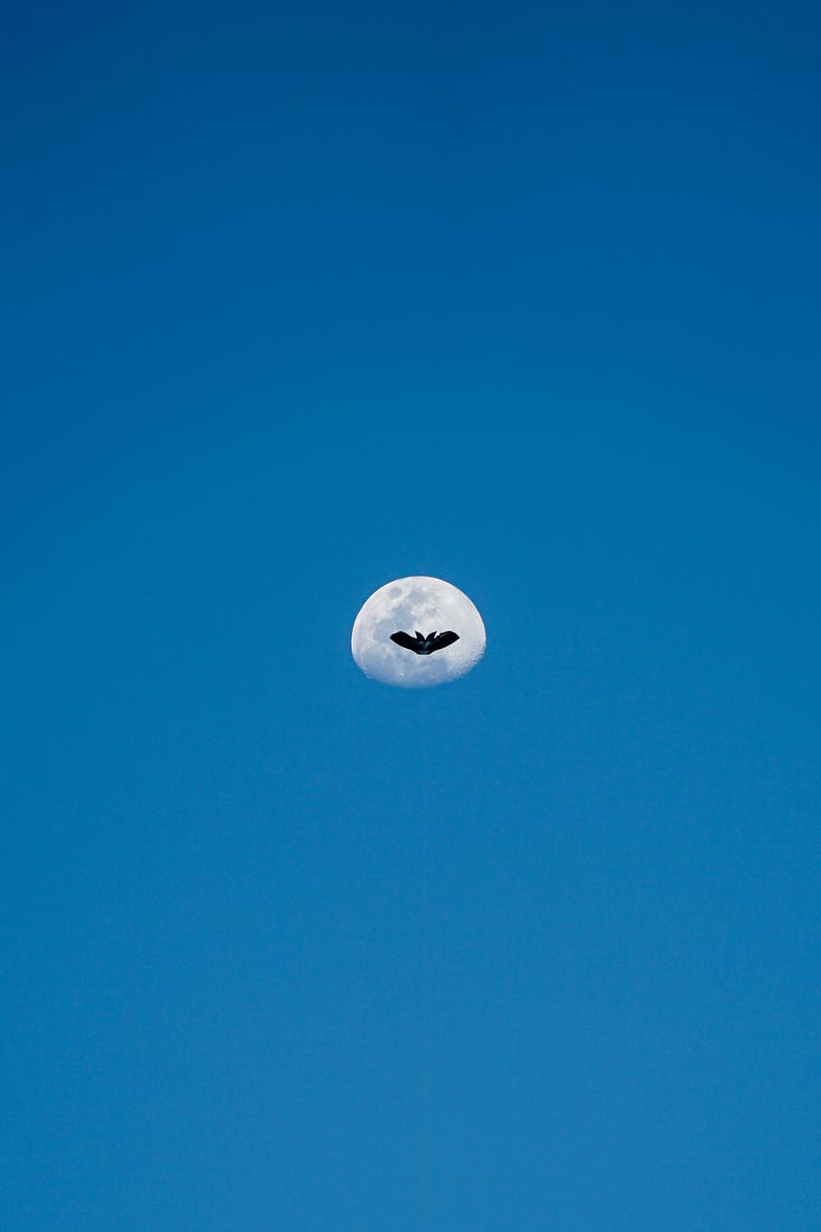 the moon, copy space, blue, no people, colored background, single object HD wallpaper