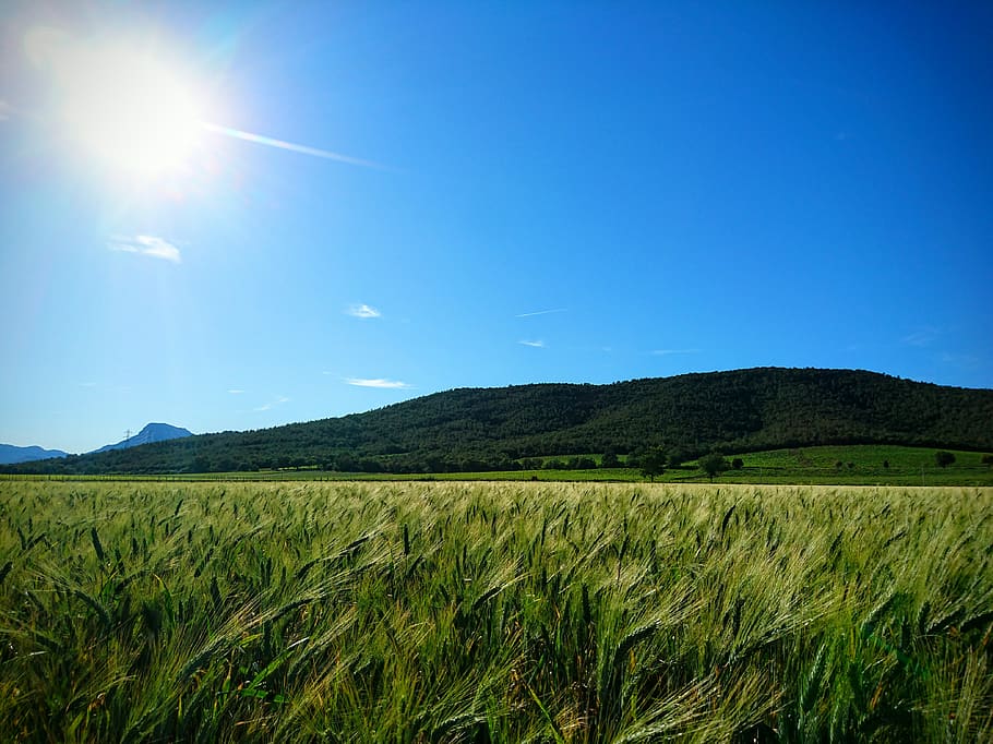 france, la crau, sky, landscape, beauty in nature, scenics - nature HD wallpaper