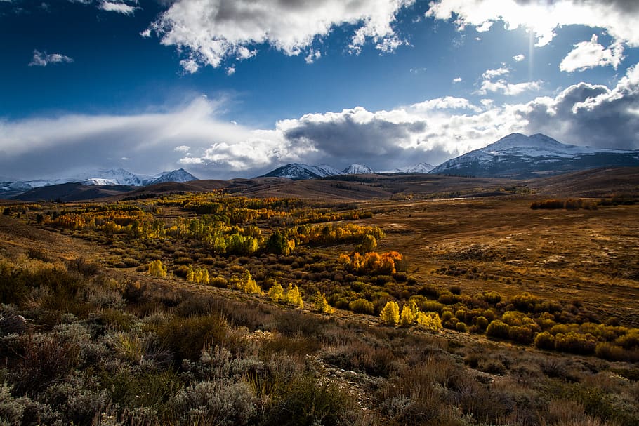 view, fall, leaves, sierra, scenics - nature, sky, environment HD wallpaper