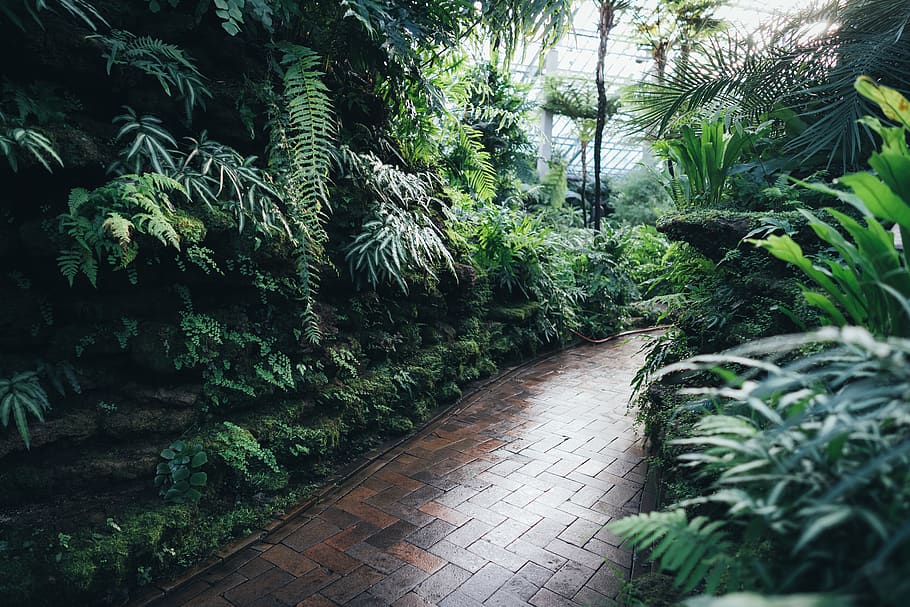 Brown Brick Garden Pathway, daylight, environment, flora, guidance HD wallpaper