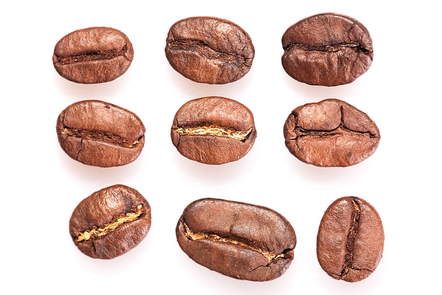 roasted, coffee, beans, drink, life, cup, mocha, brown, black HD wallpaper