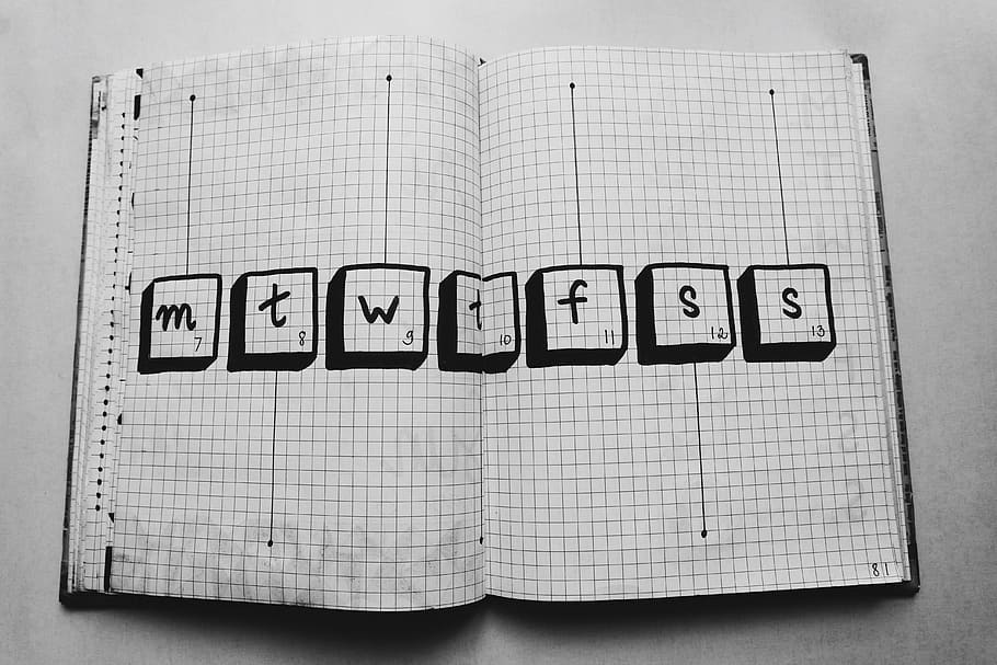 Graphing Paper, business, computer, data, designing, education HD wallpaper