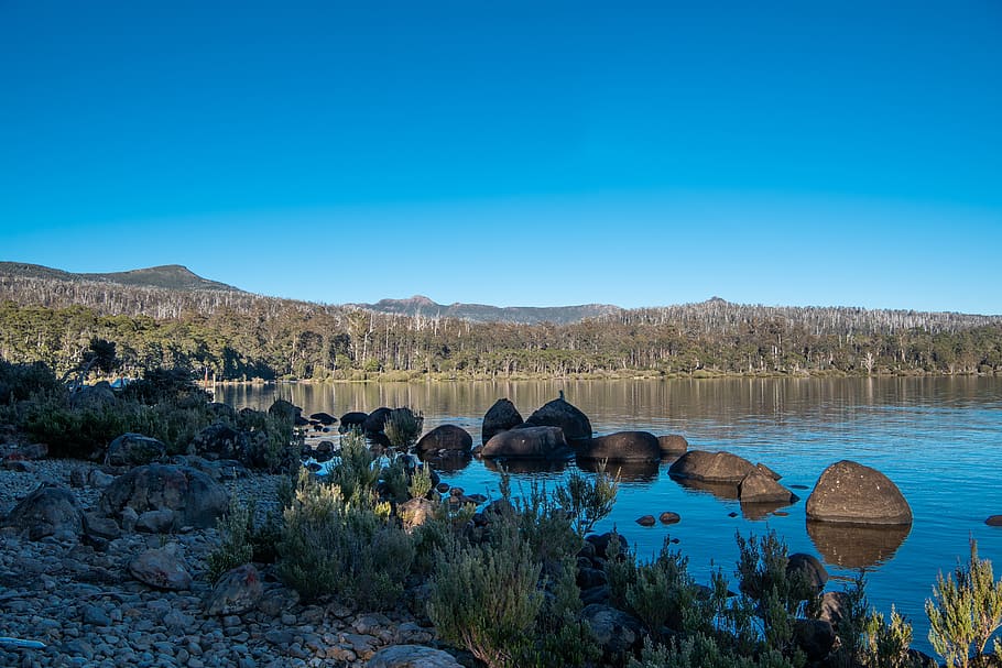 lake st clair, cynthia bay, tasmania, nature, landscape, peaceful, HD wallpaper