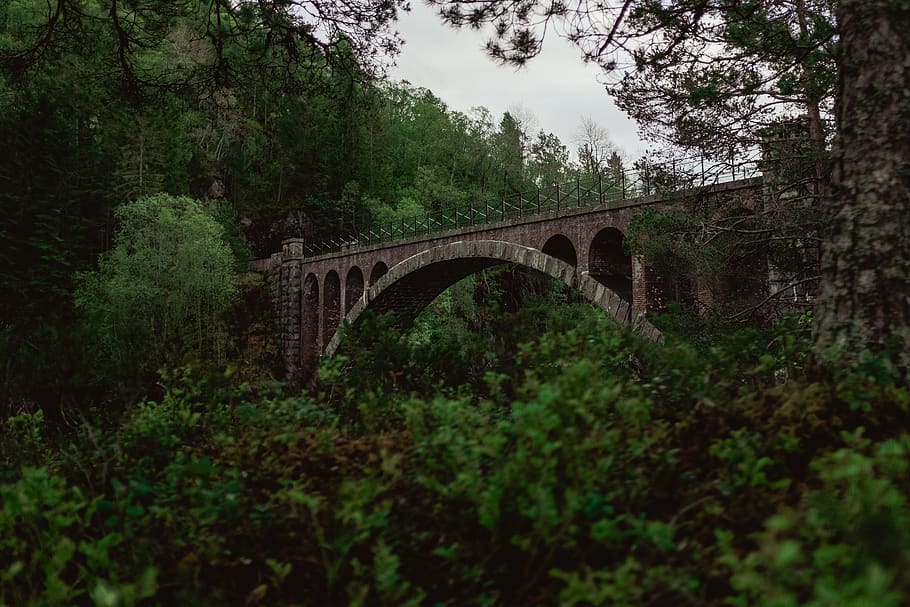bridge, building, viaduct, architecture, green, arched, norway HD wallpaper