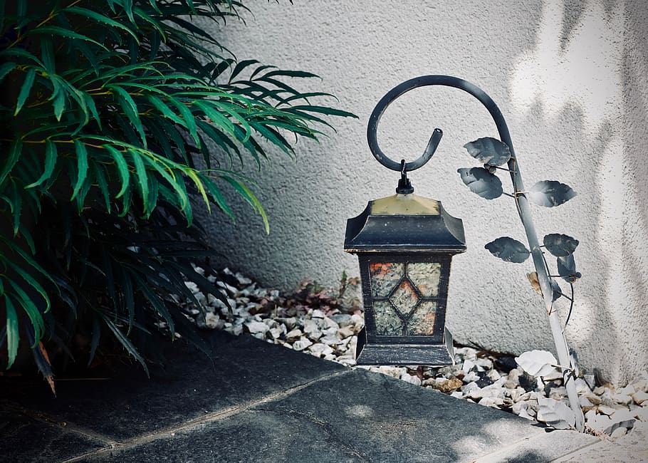 plant, lantern, leaf, leaves, wall, concrete, slate, no people HD wallpaper