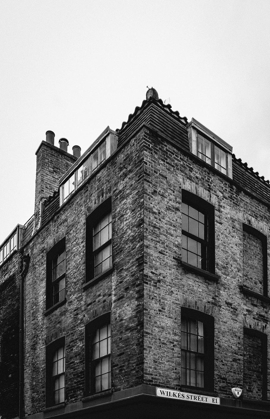 brick, corner, wall, building, animal, bird, housing, plant HD wallpaper