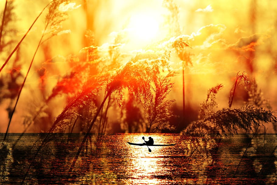 sunset, water, reflection, plumes, boat, silhouette, fantasy HD wallpaper