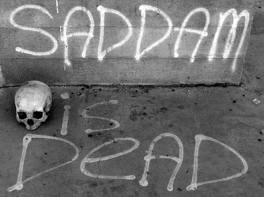 HD wallpaper: skull, human, human skull, death, dead, saddam, saddam hussein  | Wallpaper Flare