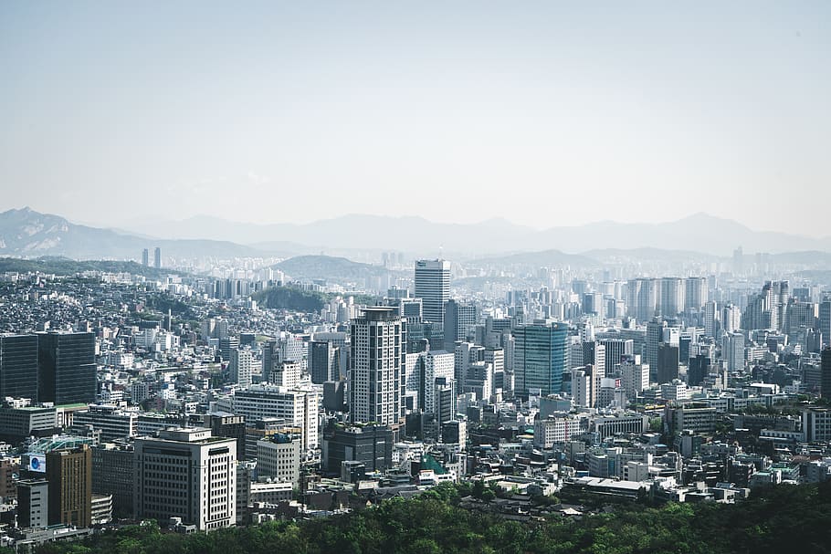 building exterior, city, cityscape, architecture, built structure HD wallpaper