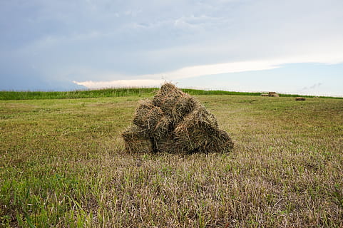 land, landscape, bail, bails, hay, stray, straw, photo, photograph HD wallpaper