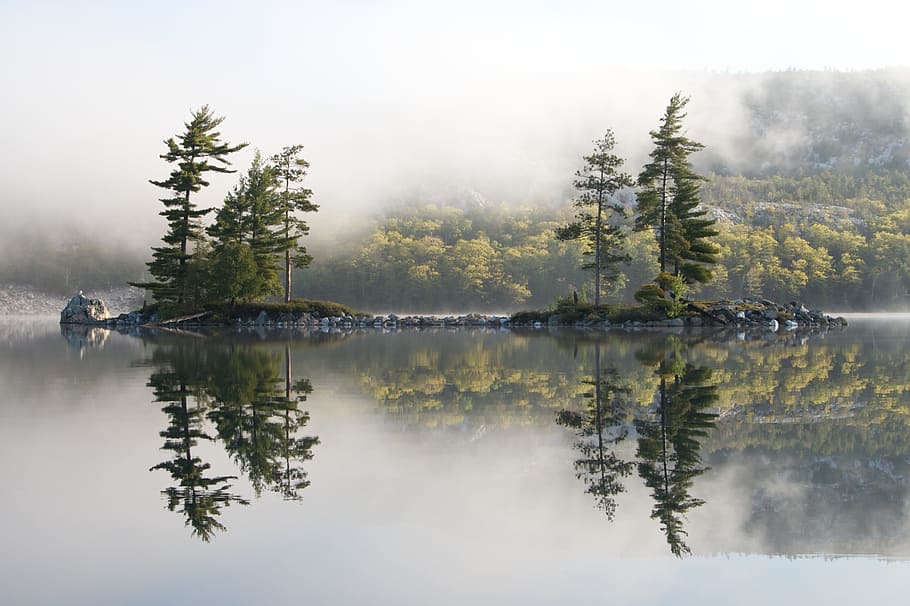reflective photography of trees on islet near body of water, lake HD wallpaper