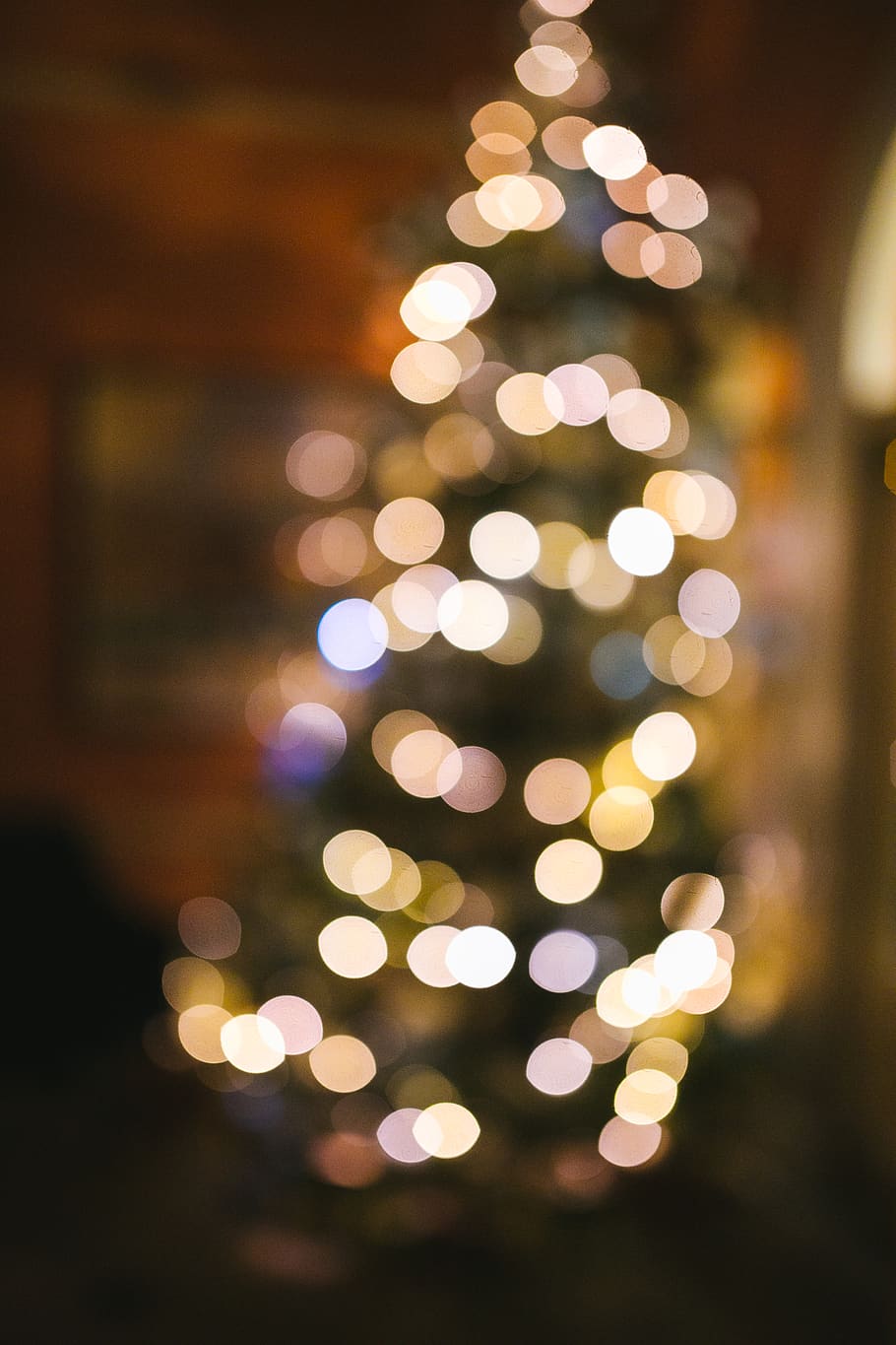 bokeh photography, tree, plant, lighting, fir, abies, ornament HD wallpaper