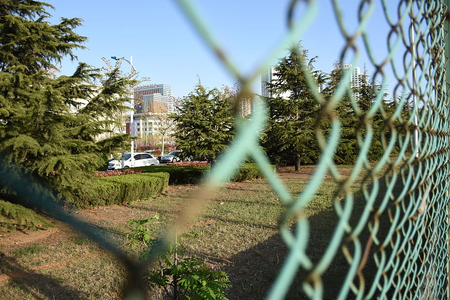 china, fence, plant, tree, chainlink fence, built structure HD wallpaper