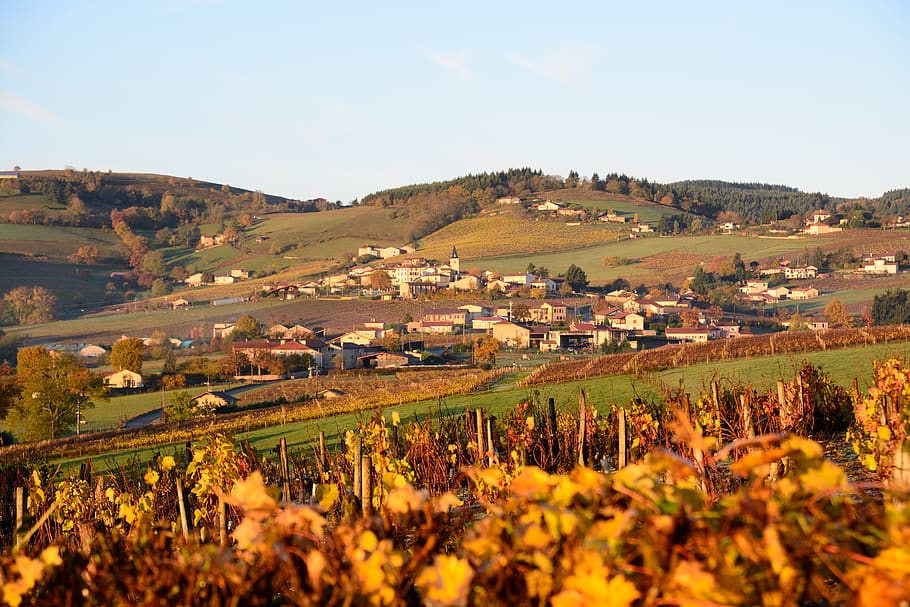 france, dareizé, landscape, environment, building exterior HD wallpaper