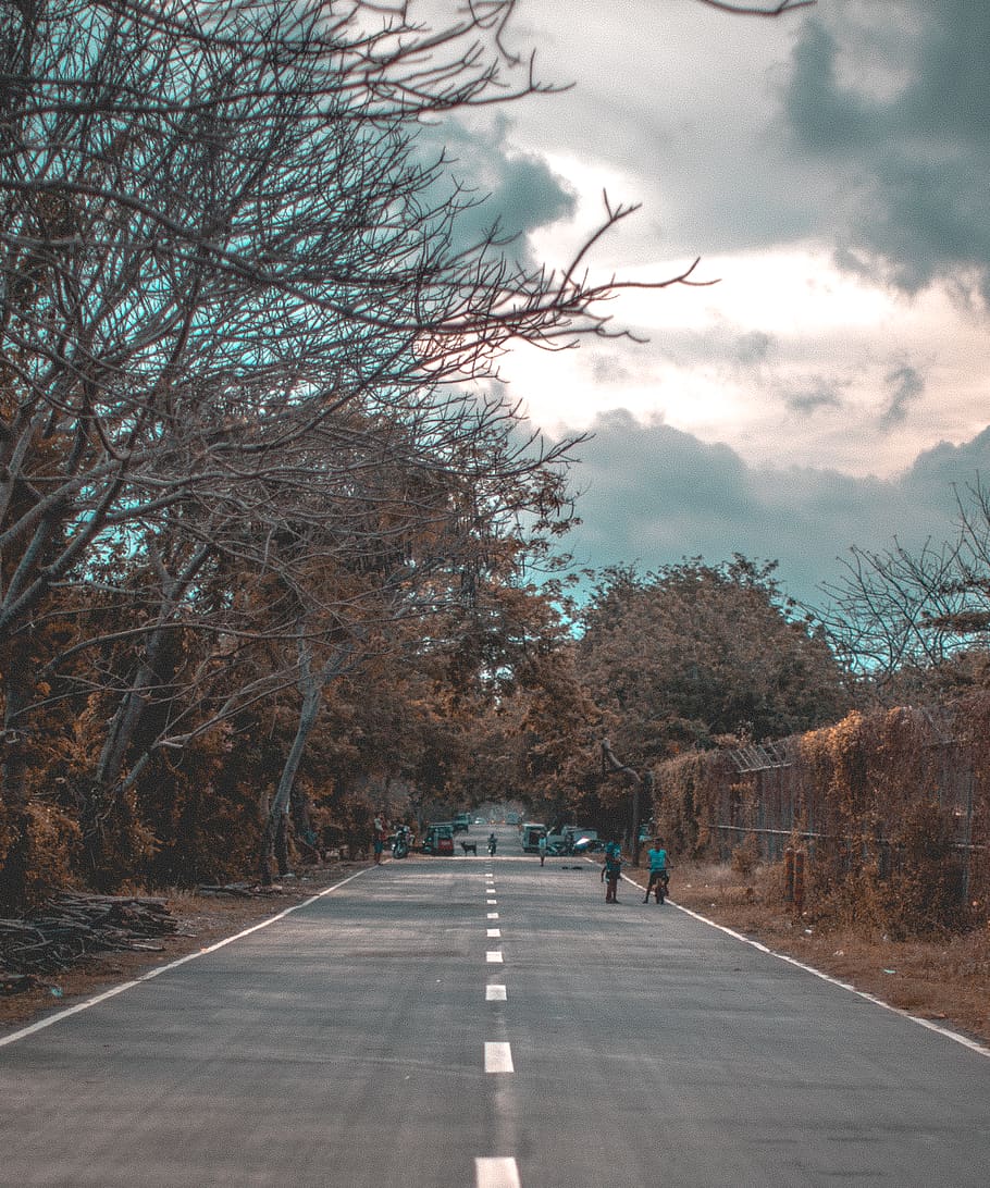 Photo of Road near Trees, asphalt, clouds, cloudy sky, environment HD wallpaper