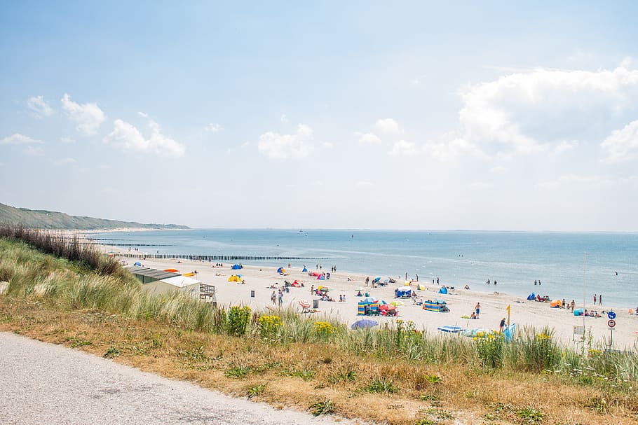 sunny beach, netherlands, sand, grass, water, sky, sea, cloud - sky HD wallpaper