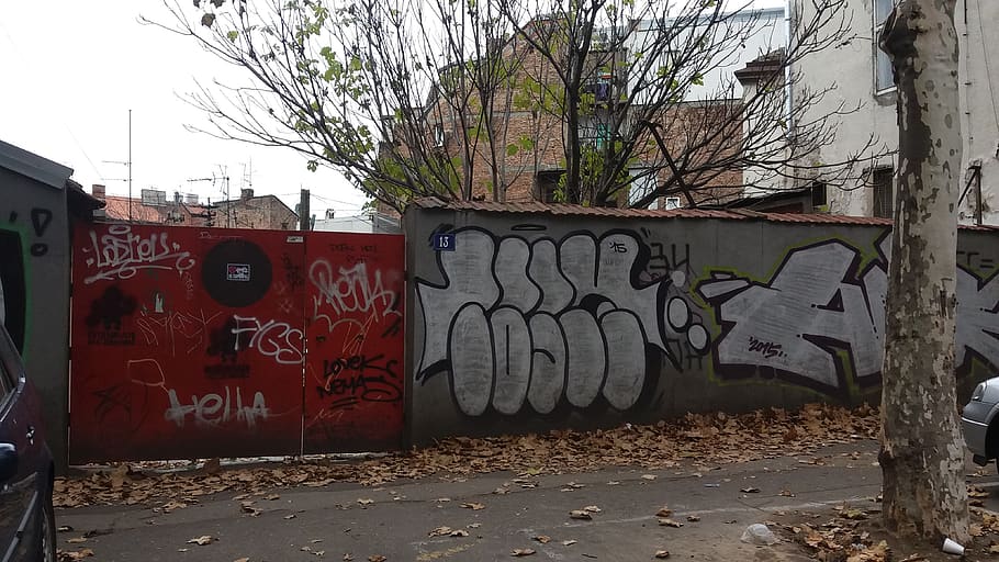 serbia, belgrade, graphitis, graffiti, tree, text, communication HD wallpaper