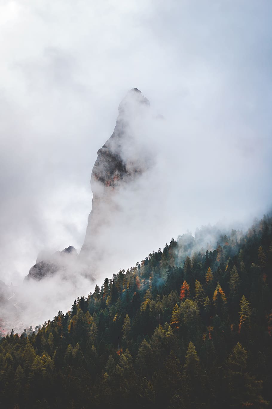 sea of clouds, autumn, hazy, fog, moody, mountain, dolomite, nature, HD wallpaper