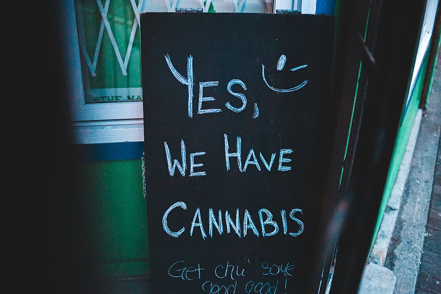 Yes we have cannabis text, western script, communication, sign HD wallpaper