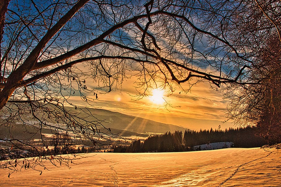 wintry, sunset, snow, landscape, winter, nature, trees, twilight HD wallpaper