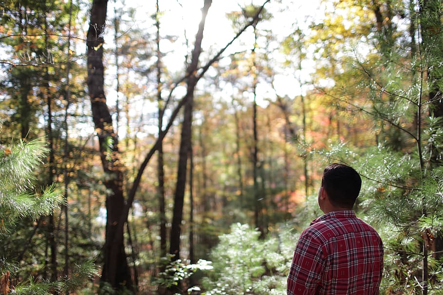 Man Standing At The Forest, daylight, environment, lonely, nature HD wallpaper