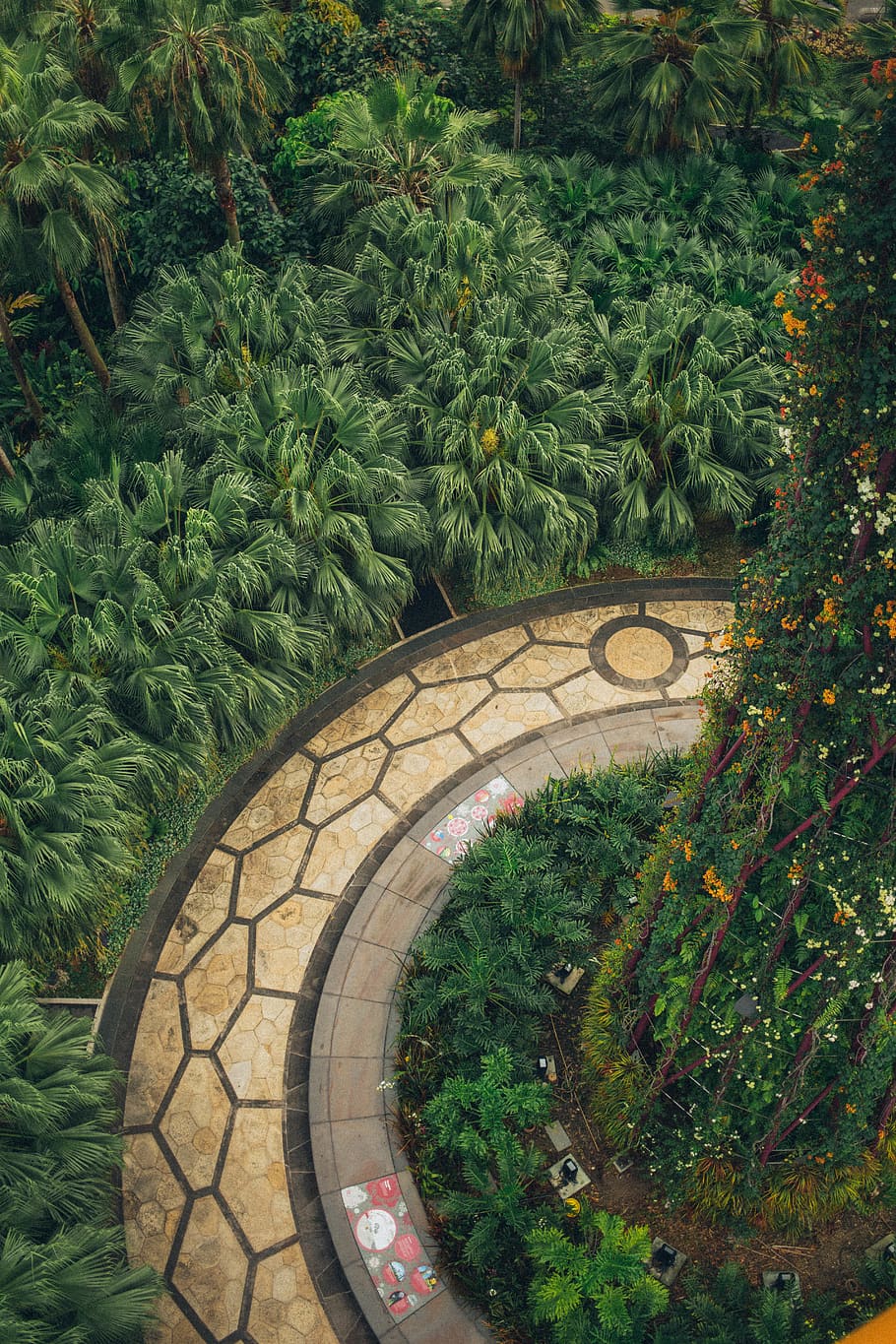 Beige Concrete Road in Middle of Plant Topiary, bright, daylight HD wallpaper
