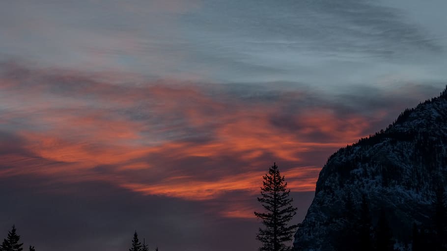 mountain during sunset, sunrise, nature, sky, tree, dawn, dusk HD wallpaper