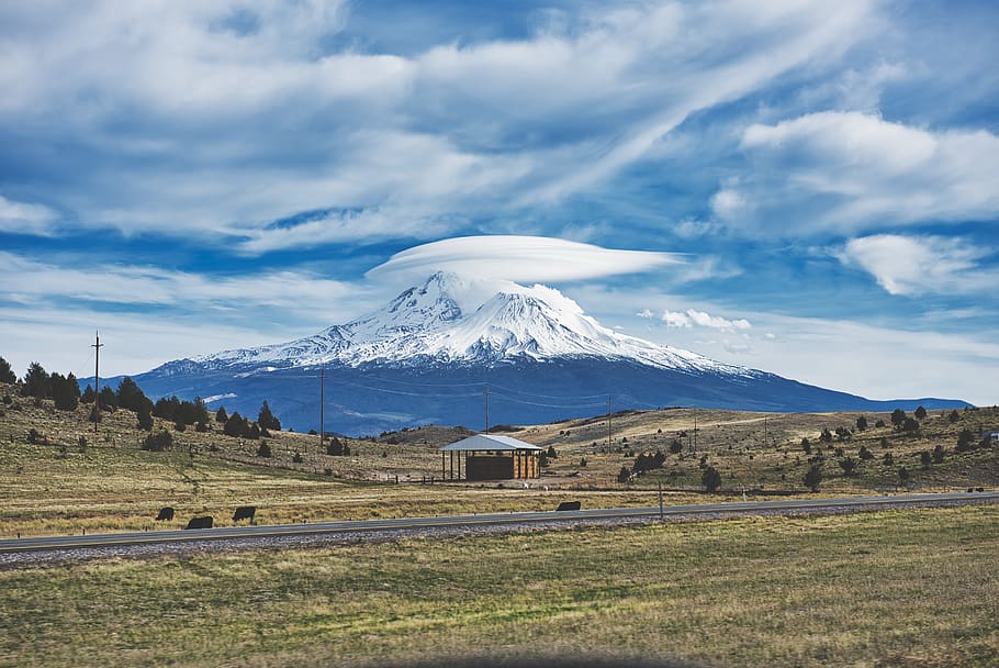 mountain and trees, nature, outdoors, mountain range, usa, mount shasta HD wallpaper