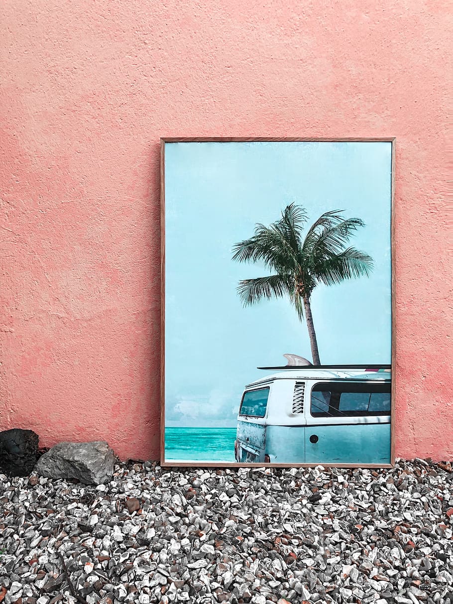 Van Beside Palm Tree Painting, daylight, frame, illustration, HD wallpaper
