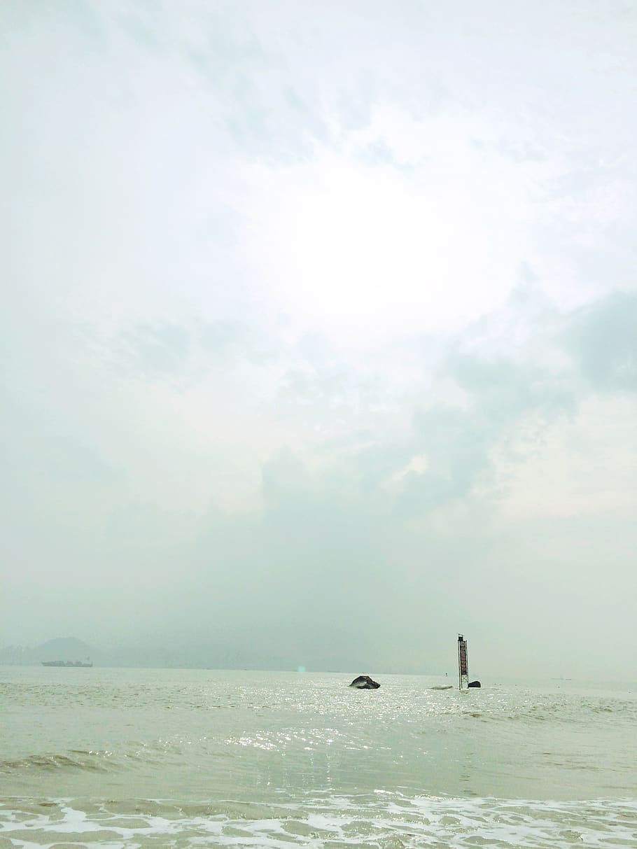 中国, 厦门市, water, sky, scenics - nature, bird, beauty in nature HD wallpaper