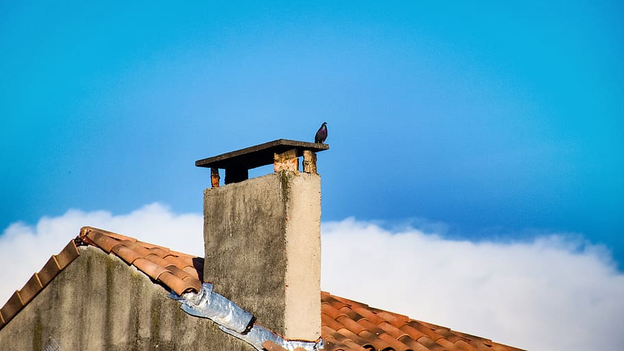 manosque, pigeon, chimney stack, rooftop, clouds, blue sky HD wallpaper