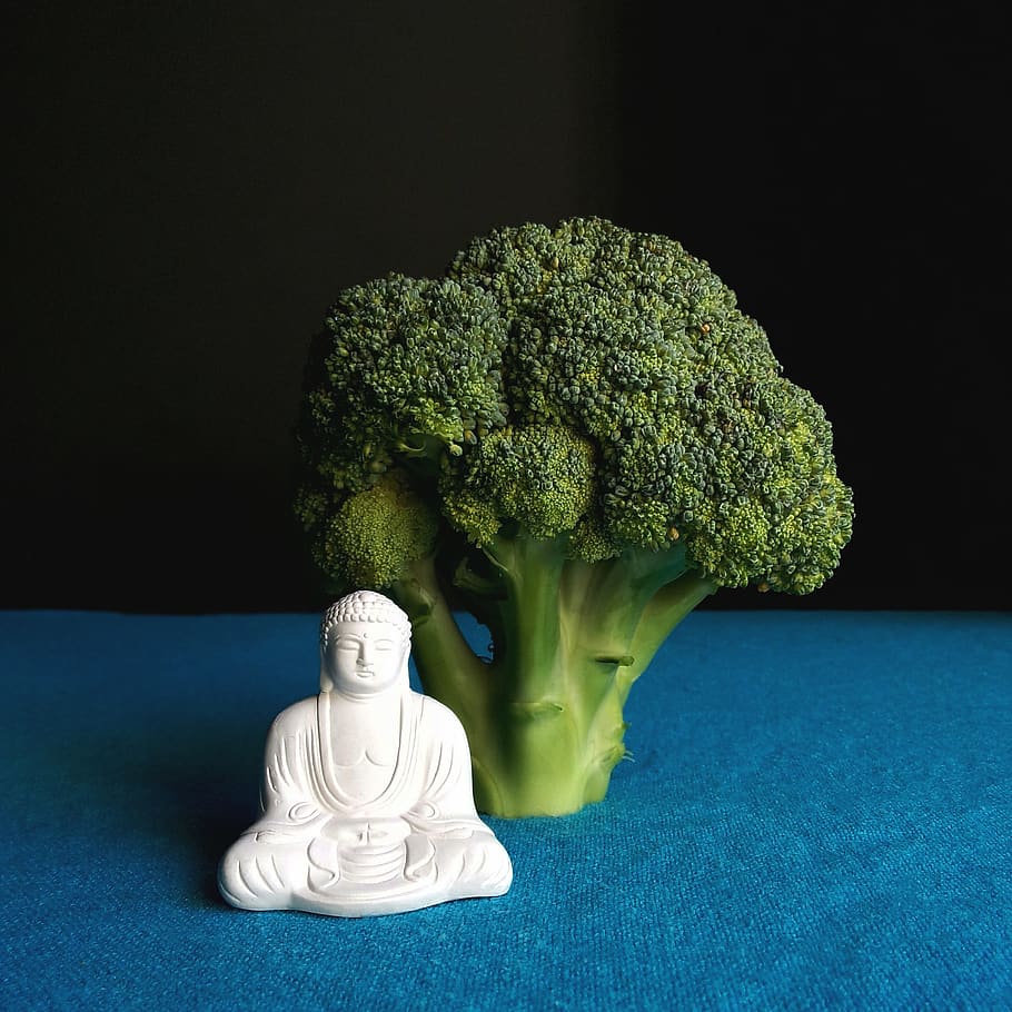 50,429 Cut Broccoli Royalty-Free Photos and Stock Images | Shutterstock