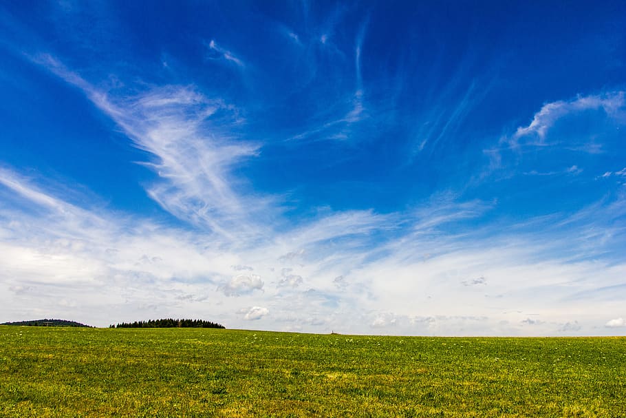 summer sky, meadow, blue, nature, landscape, cloud - sky, environment HD wallpaper