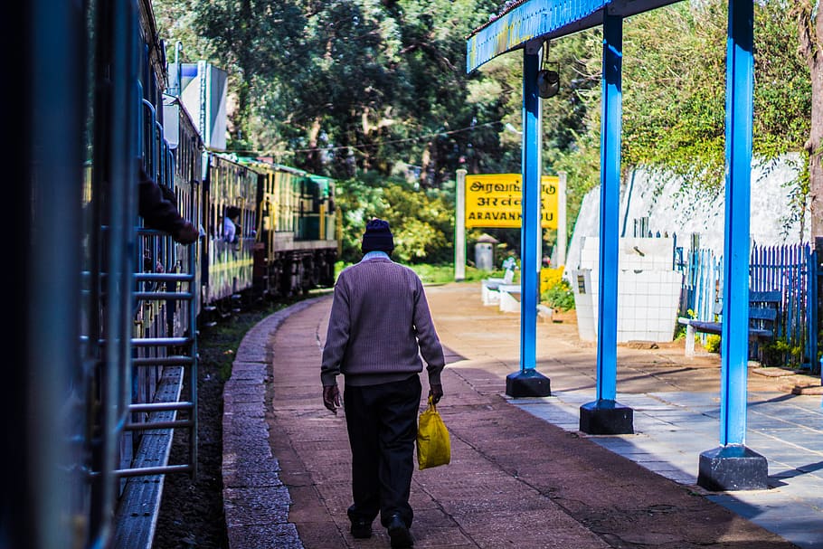 india, ooty, tree, hiils, toy train, old man, rear view, architecture HD wallpaper