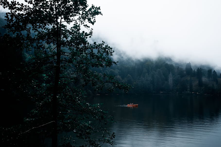 Green Trees Near Lake, boat, dawn, environment, evening, fall HD wallpaper